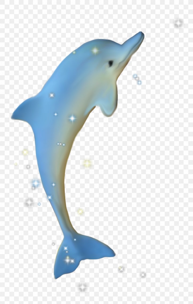 Common Bottlenose Dolphin Tucuxi Cetacea Porpoise, PNG, 1339x2110px, Common Bottlenose Dolphin, Animal, Beak, Blue, Bottlenose Dolphin Download Free