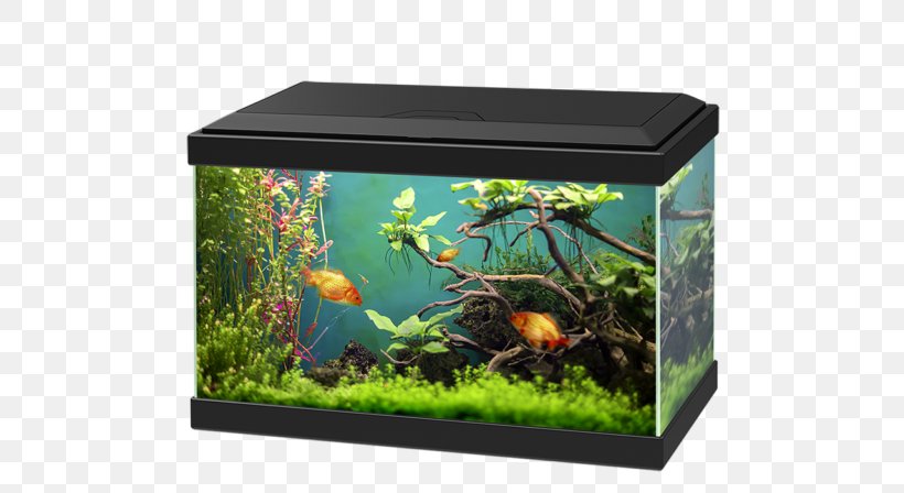 Aquariums Goldfish Fishkeeping Ciano Aqua, PNG, 768x448px, Aquarium, Aqua, Aquarium Decor, Aquarium Filters, Aquarium Furniture Download Free