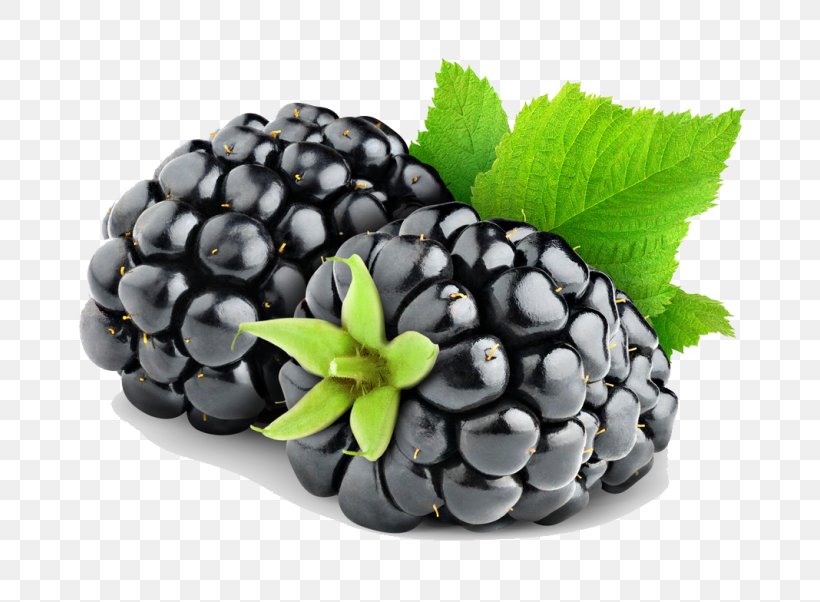 Blackberry Pie Fruit, PNG, 768x602px, Blackberry Pie, Berry, Bilberry, Blackberry, Blueberry Download Free
