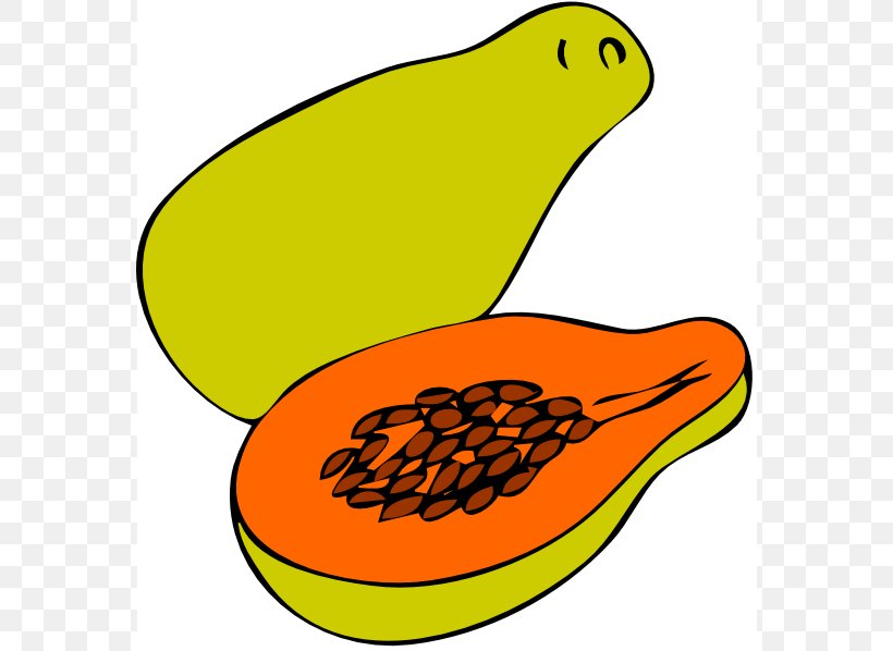 Green Papaya Salad Pawpaw Clip Art, PNG, 570x598px, Green Papaya Salad, Area, Artwork, Beak, Commodity Download Free