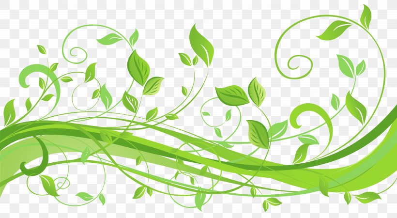 Leaf Clip Art, PNG, 10179x5594px, Leaf, Decorative Arts, Flora, Floral Design, Flower Download Free