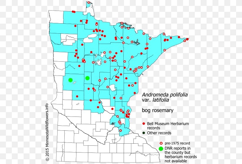 Minnesota Map Line Land Lot Point, PNG, 520x556px, Minnesota, Area, County, Diagram, Land Lot Download Free