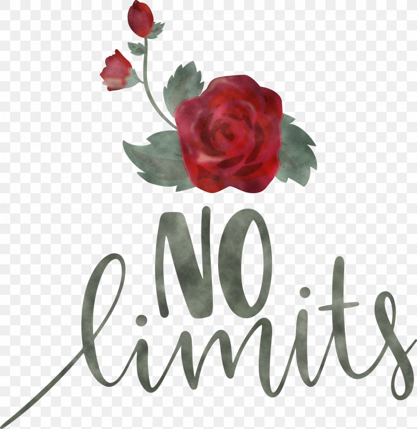 No Limits Dream Future, PNG, 2913x3000px, No Limits, Cut Flowers, Dream, Floral Design, Flower Download Free