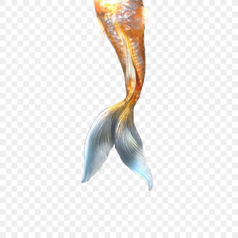 Ariel Merliah Summers Mermaid Tail, PNG, 1000x1000px, Ariel, Google Images, Legendary Creature, Merliah Summers, Mermaid Download Free