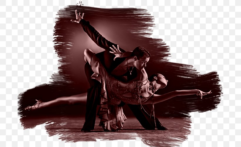 Ballroom Dance Sports Pole Dance Dance Studio, PNG, 700x500px, Ballroom Dance, Argentine Tango, Art, Ball, Dance Download Free