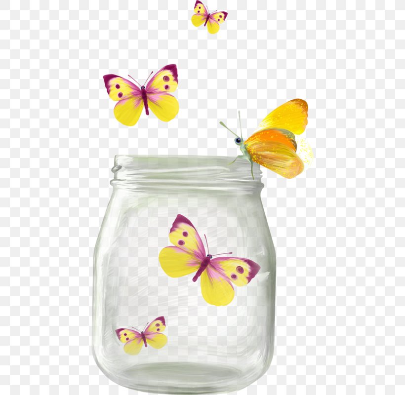 Butterfly Clip Art, PNG, 450x800px, Butterfly, Bottle, Drinkware, Insect, Jar Download Free