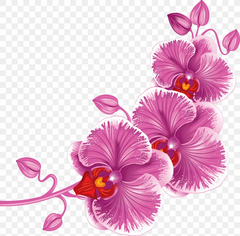 Clip Art, PNG, 2500x2462px, Drawing, Cut Flowers, Floral Design, Flower, Flower Arranging Download Free