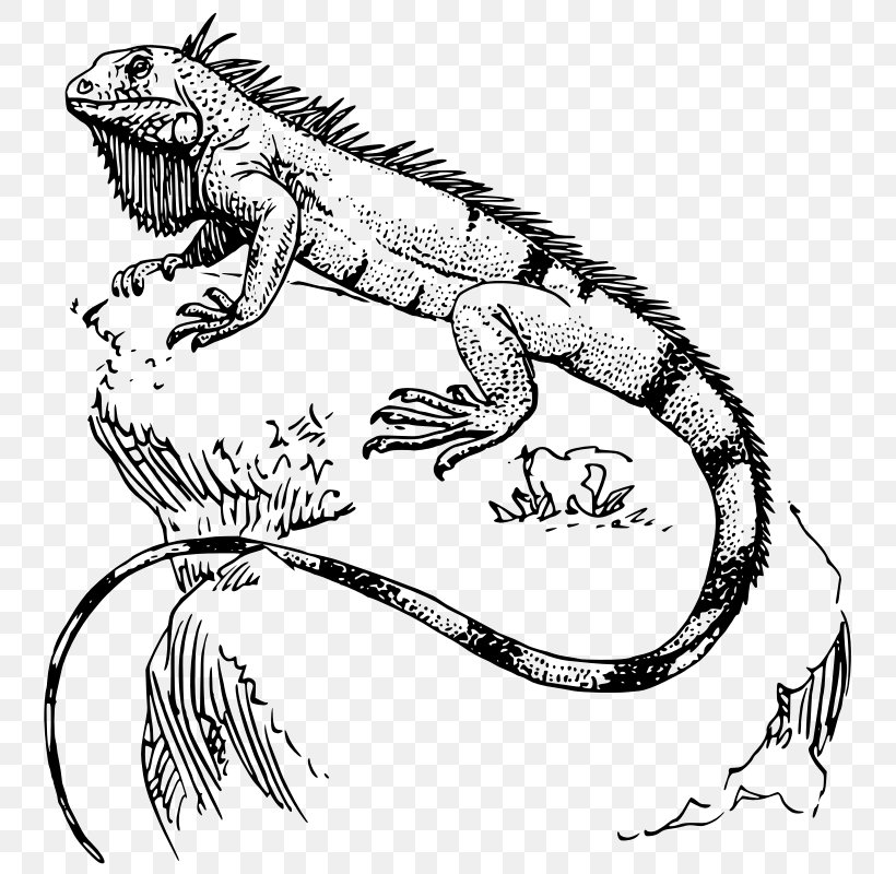 Lizard Reptile Green Iguana Polynesia Tattoo, PNG, 800x800px, Lizard, Art, Black And White, Common Iguanas, Crocodilia Download Free