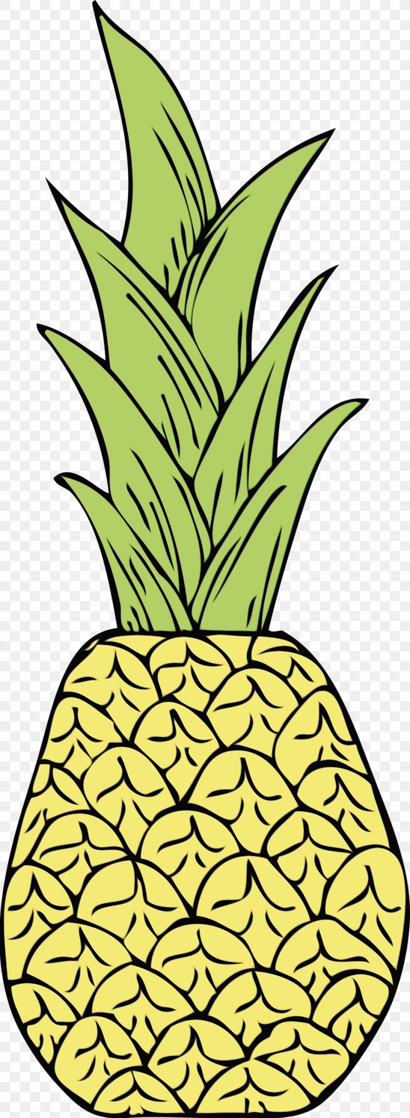 Pineapple, PNG, 958x2608px, Watercolor, Ananas, Fruit, Houseplant, Paint Download Free