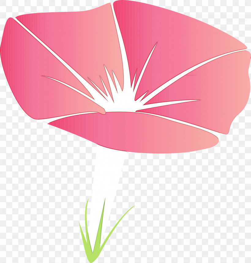 Pink Petal Flower Plant Leaf, PNG, 2862x3000px, Morning Glory Flower, Anthurium, Flower, Leaf, Morning Glory Download Free