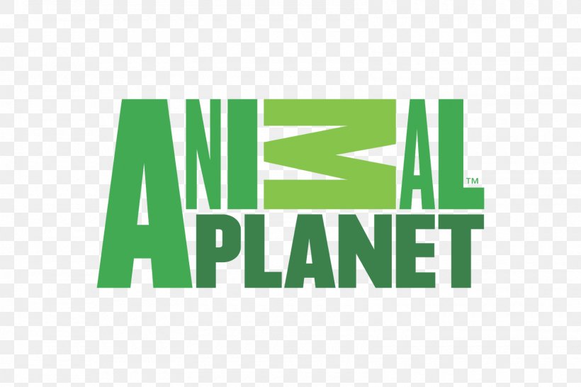 Animal Planet Dog Television Channel Television Show, PNG, 1600x1067px, Animal Planet, Animal Planet Hd, Area, Brand, Broadcasting Download Free