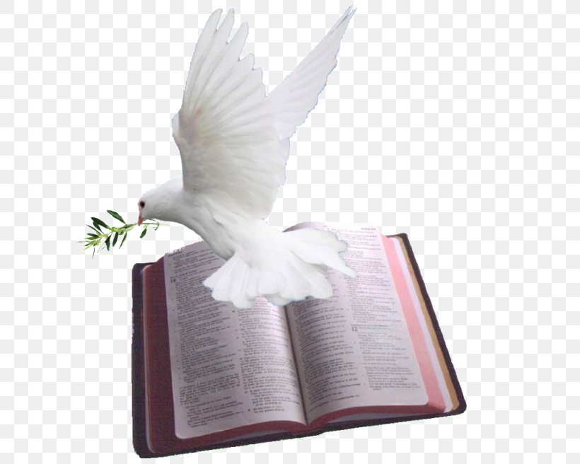 Chapters And Verses Of The Bible Psalms Doves As Symbols God, PNG, 1024x820px, Bible, Beak, Bible Study, Bird, Chapters And Verses Of The Bible Download Free