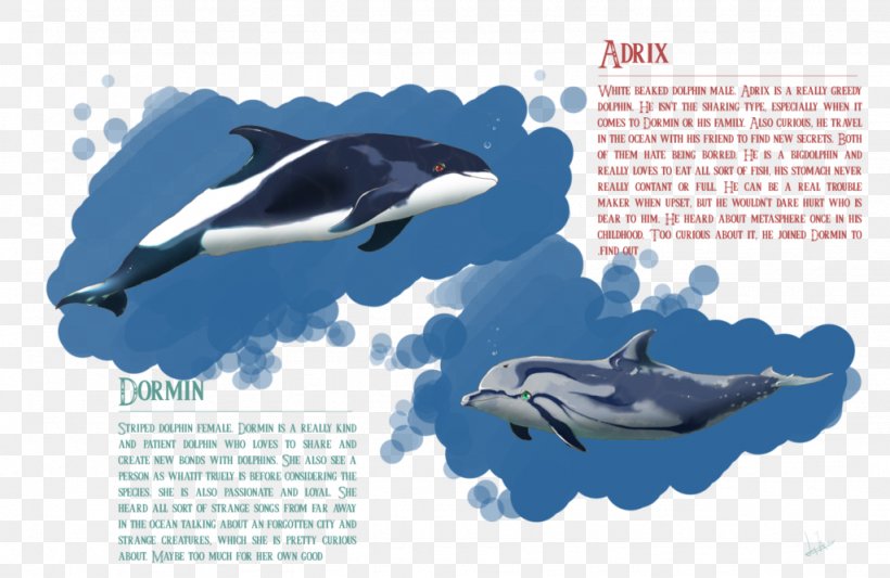 Killer Whale Common Bottlenose Dolphin Wholphin Short-beaked Common Dolphin Tucuxi, PNG, 1024x666px, Killer Whale, Advertising, Bottlenose Dolphin, Brand, Cetacea Download Free