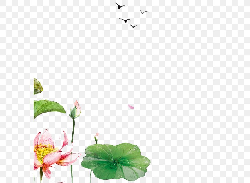 Petal Nelumbo Nucifera Leaf Lotus Effect, PNG, 600x600px, Petal, Branch, Computer Software, Cut Flowers, Designer Download Free