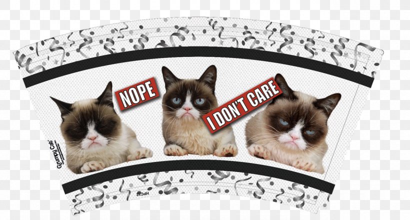 Whiskers Kitten Grumpy Cat Dog, PNG, 1280x687px, Whiskers, Breed, Carnivoran, Cat, Cat Like Mammal Download Free