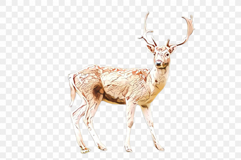 Reindeer, PNG, 2448x1632px, Deer, Antelope, Antler, Elk, Fawn Download Free