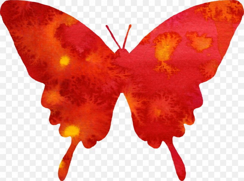 Butterfly Watercolor Painting Red Clip Art, PNG, 1072x800px, Butterfly, Art, Arthropod, Color, Drawing Download Free
