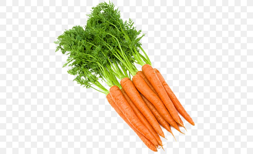 Fruit Food Vegetable Carrot, PNG, 500x500px, Fruit, Baby Carrot, Baking, Carrot, Diet Food Download Free