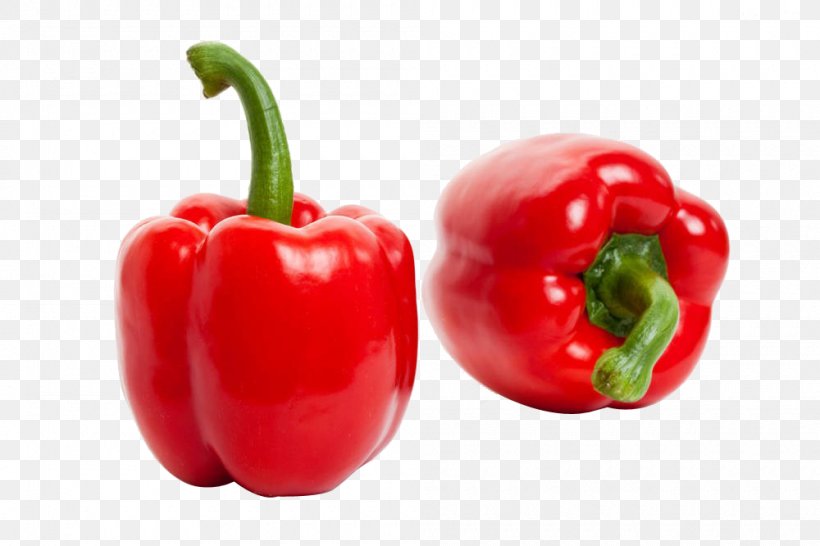 Habanero Birds Eye Chili Bell Pepper Cayenne Pepper Tabasco Pepper, PNG, 1000x666px, Habanero, Acerola, Acerola Family, Bell Pepper, Bell Peppers And Chili Peppers Download Free