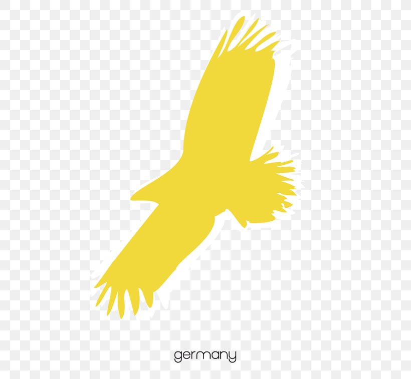 Logo Font Beak Fauna Feather, PNG, 600x757px, Logo, Beak, Bird, Bird Of Prey, Eagle Download Free