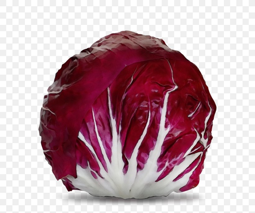 Red Cabbage Cabbage Radicchio Leaf Vegetable Vegetable, PNG, 601x685px, Watercolor, Cabbage, Food, Leaf Vegetable, Magenta Download Free