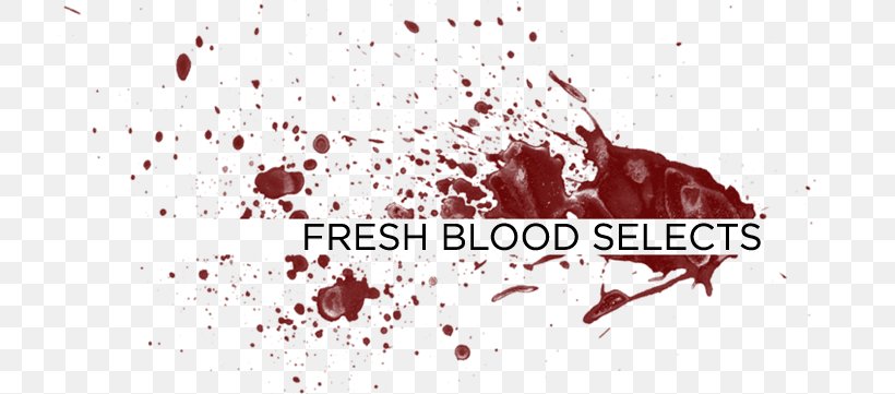 Blood List Screenplay Film Director Writer, PNG, 804x361px, Blood List, Alum, Blood, Brand, Film Download Free