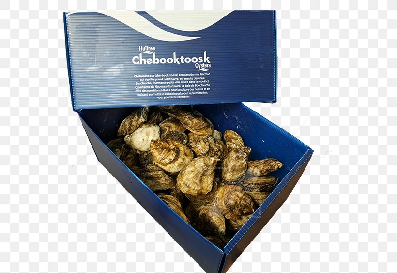 Eastern Oyster Seafood Clam Mussel, PNG, 750x563px, Oyster, Animal Source Foods, Book, Clam, Clams Oysters Mussels And Scallops Download Free