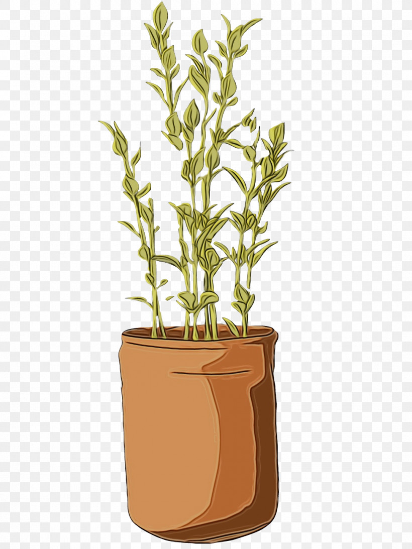 Plant Stem Herb Flowerpot Tree Plants, PNG, 1080x1440px, Watercolor, Biology, Flowerpot, Herb, Paint Download Free