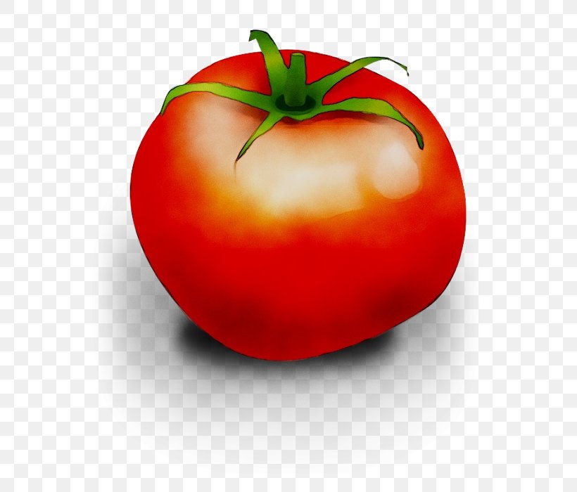 Plum Tomato Diet Food Bush Tomato, PNG, 666x700px, Plum Tomato, Apple, Bush Tomato, Diet, Diet Food Download Free