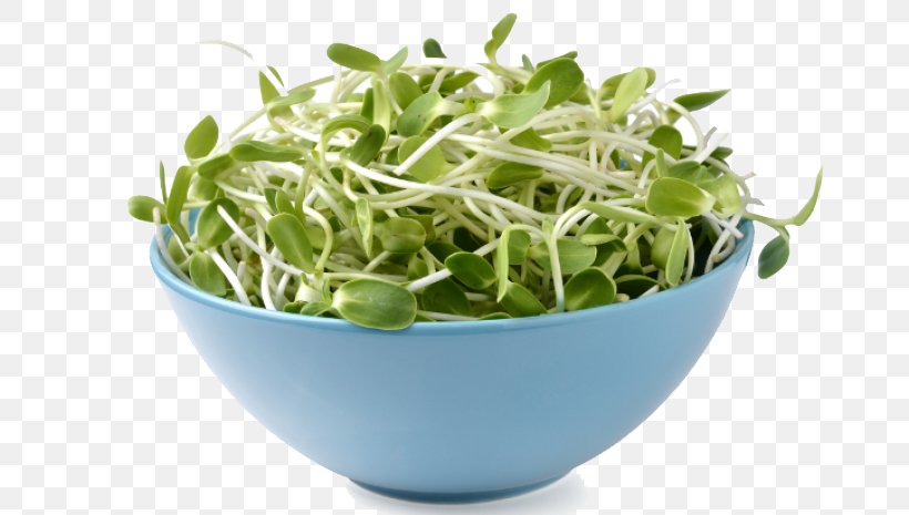 Poetry Literature Sprouting Alfalfa Sprouts, PNG, 700x465px, Poetry, Alfalfa, Alfalfa Sprouts, Flowerpot, Free Verse Download Free
