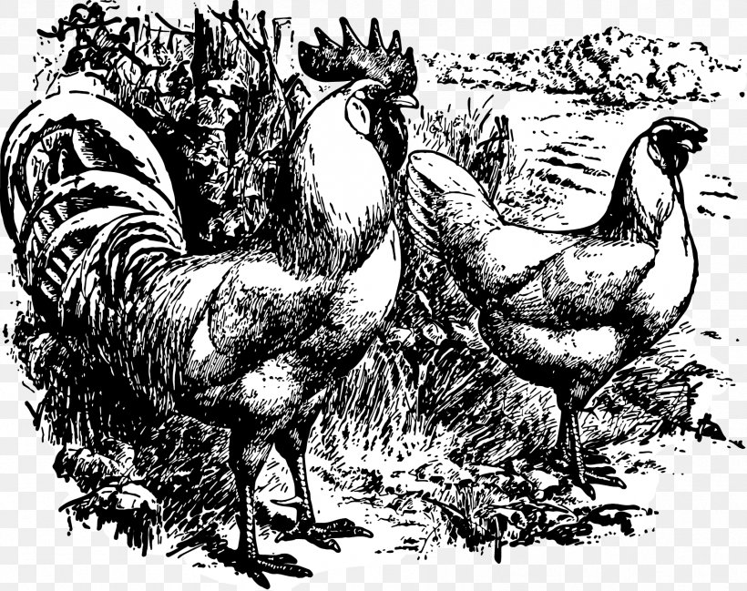 Rooster Chicken Toile Beak White, PNG, 1794x1422px, Rooster, Beak, Bird, Black And White, Chicken Download Free