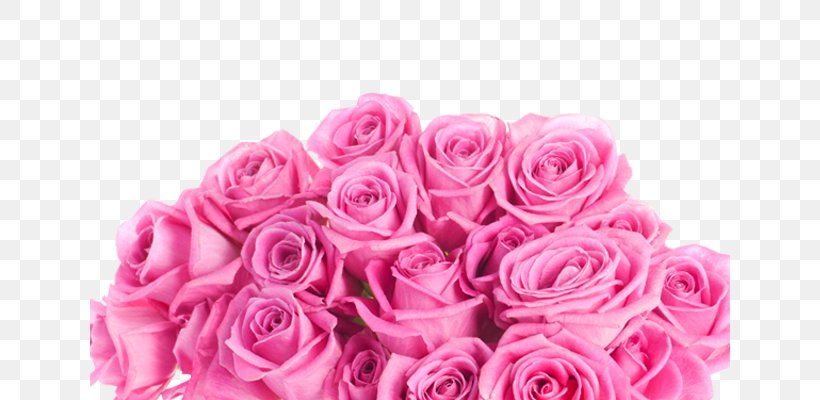 Still Life: Pink Roses Flower, PNG, 640x400px, Still Life Pink Roses, Artificial Flower, Color, Cut Flowers, Floral Design Download Free