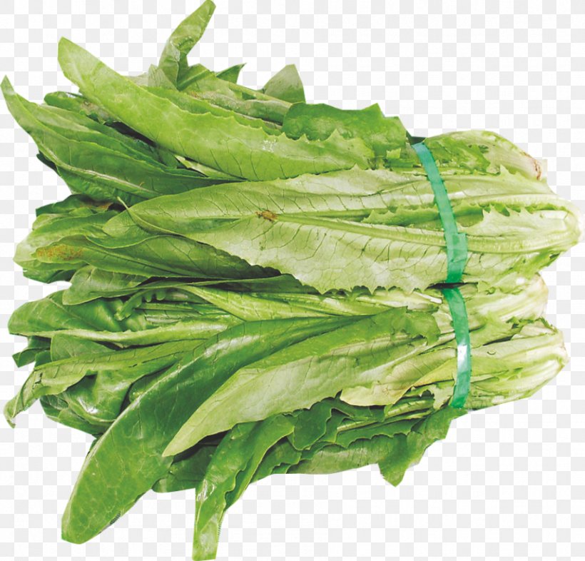 Celtuce Romaine Lettuce Leaf Vegetable, PNG, 912x875px, Celtuce, Chard, Choy Sum, Food, Ingredient Download Free