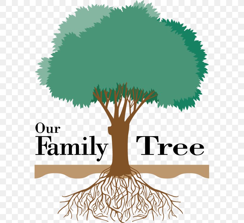 Family Tree Genealogy Ancestor Clip Art, PNG, 588x750px, Family Tree, Ancestor, Ancestrycom Inc, Branch, Child Download Free