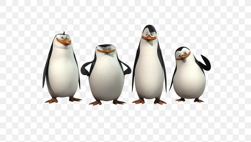 Kowalski Skipper Madagascar DreamWorks Animation, PNG, 600x464px, Kowalski, Animation, Beak, Bird, Dreamworks Animation Download Free