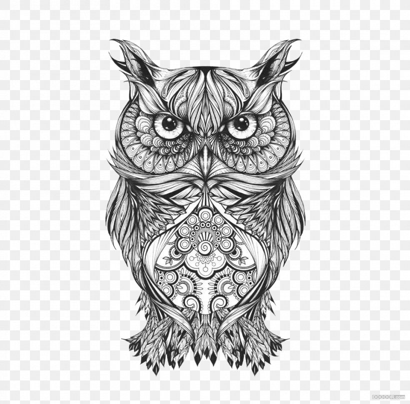 Owl Visual Arts Drawing Sketch, PNG, 960x945px, Owl, Art, Artist, Beak, Bird Download Free