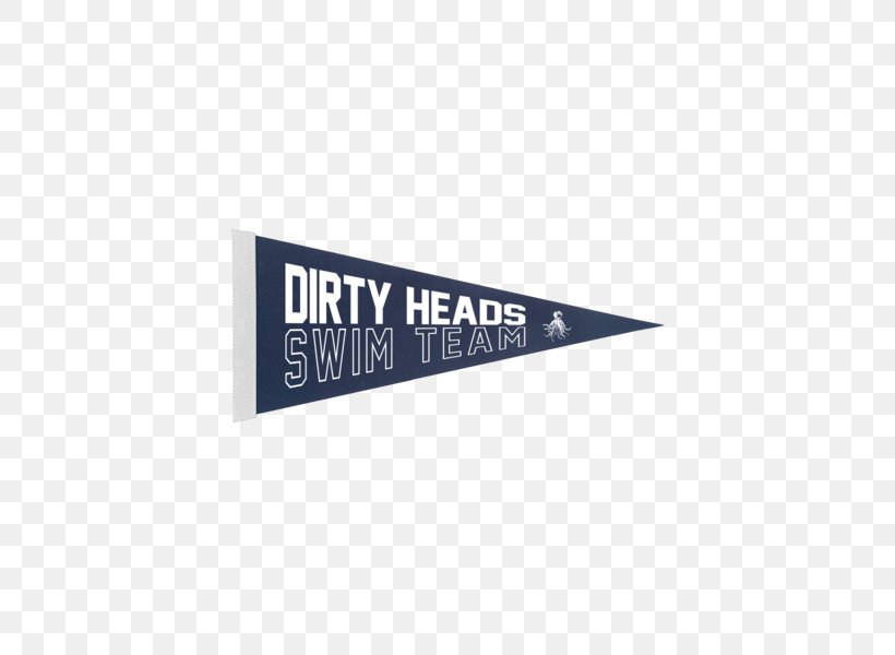 Swim Team Dirty Heads Pennant Logo Phonograph Record, PNG, 600x600px, Swim Team, Art, Brand, Brush Script, Dirty Heads Download Free