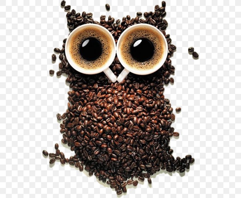 Coffee Cup Cafe Owl Coffee Bean, PNG, 534x674px, Coffee, Barista, Cafe, Caffeine, Coffee Bean Download Free
