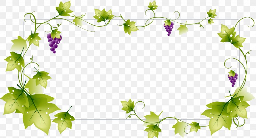 Wine Common Grape Vine Green, PNG, 2090x1136px, Wine, Blossom, Branch, Common Grape Vine, Flora Download Free
