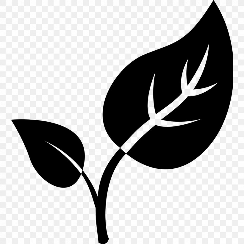 Natural Environment Leaf, PNG, 1200x1200px, Natural Environment, Black And White, Branch, Flora, Flower Download Free