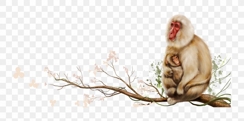 Mother Monkey Sitting On Tree Branch, PNG, 7087x3543px, Primate, Animal, Branch, Cercopithecidae, Fauna Download Free