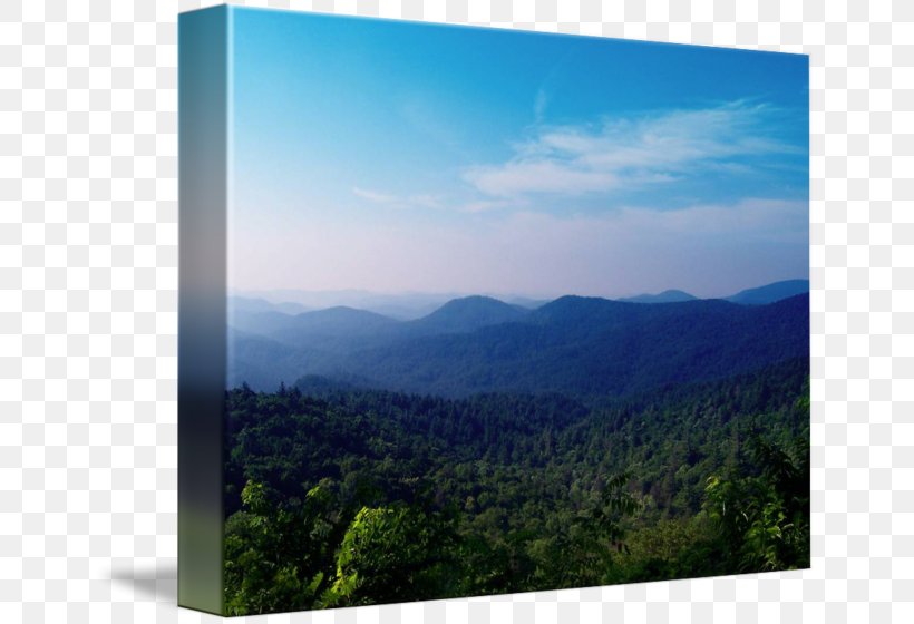 Mount Scenery Pirate Imagekind Forest Art, PNG, 650x560px, Mount Scenery, Art, Biome, Canvas, Forest Download Free