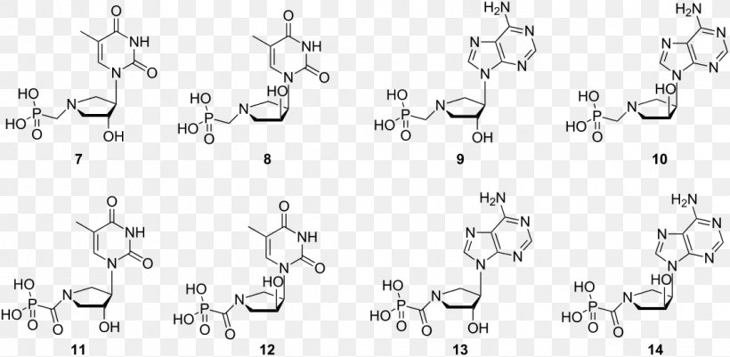 RNA Monomer Chemical Synthesis White Methyl Group, PNG, 1113x545px, Rna, Animal, Area, Black And White, Body Jewellery Download Free