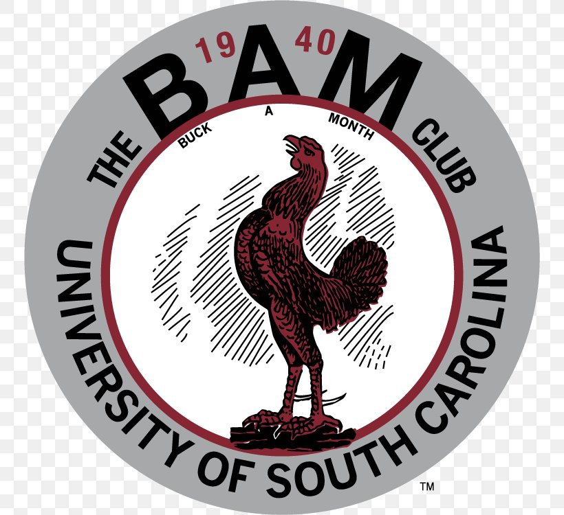 South Carolina Gamecocks Logo University Of South Carolina, PNG, 750x750px, Gamecock, Brand, Chicken, Cockfight, College Download Free