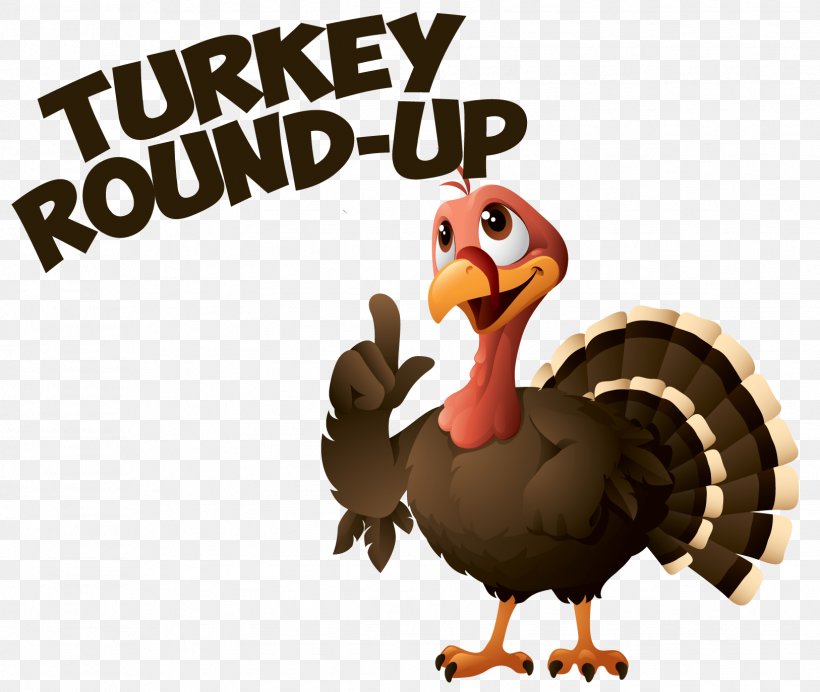 Turkey Thanksgiving Cartoon, PNG, 1626x1374px, Domestic Turkey, Beak, Bird, Cartoon, Dodo Download Free