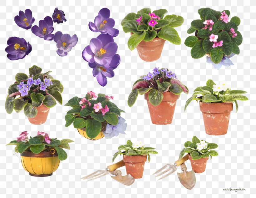 Violet Flowerpot Floral Design Clip Art, PNG, 1000x772px, Violet, Artificial Flower, Crock, Cut Flowers, Digital Image Download Free
