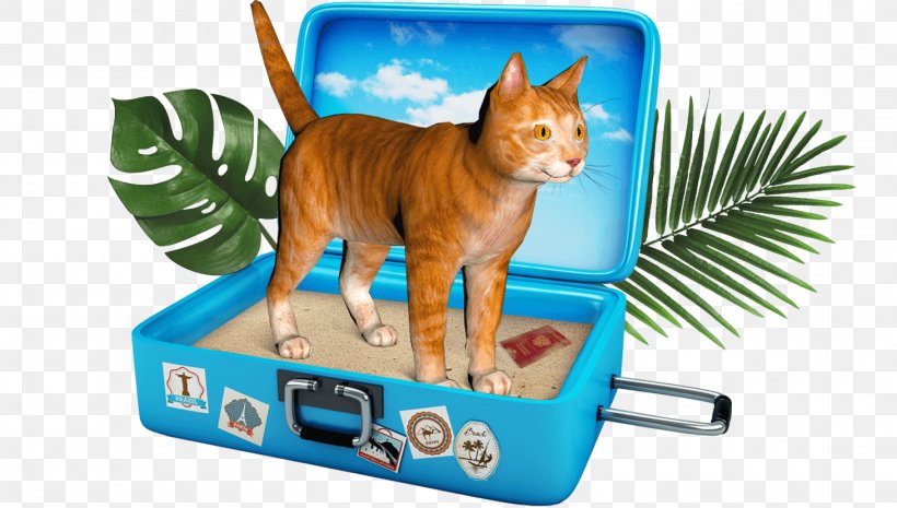 Whiskers Airplane Cat Kitten Animal, PNG, 1460x828px, Whiskers, Airplane, Airport, Animal, Box Download Free