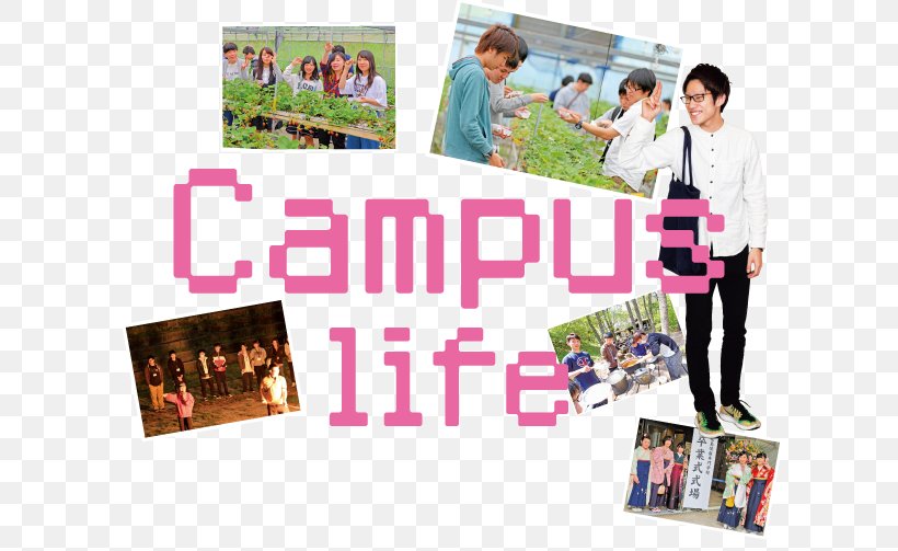 Hiroshimajoho Training School Woman クラブ活動 Recreation Collage, PNG, 622x503px, Woman, Advertising, Association, Campus, Collage Download Free