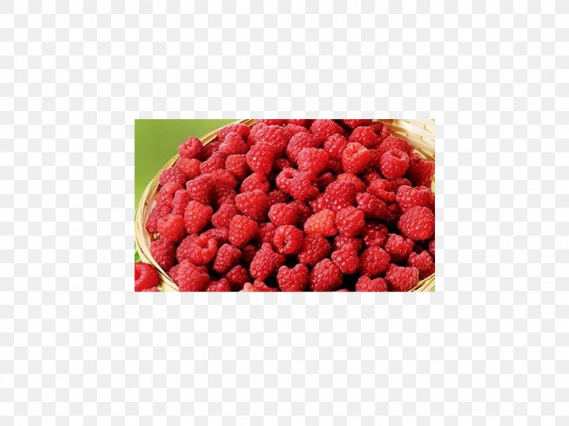 Raspberry Cranberry Superfood Strawberry, PNG, 1024x768px, Raspberry, Auglis, Berry, Cranberry, Food Download Free