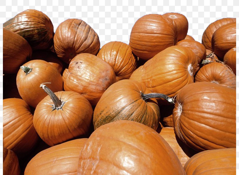 Crookneck Pumpkin Calabaza Vegetable Halloween, PNG, 800x600px, Crookneck Pumpkin, Calabaza, Cucurbita, Food, Halloween Download Free